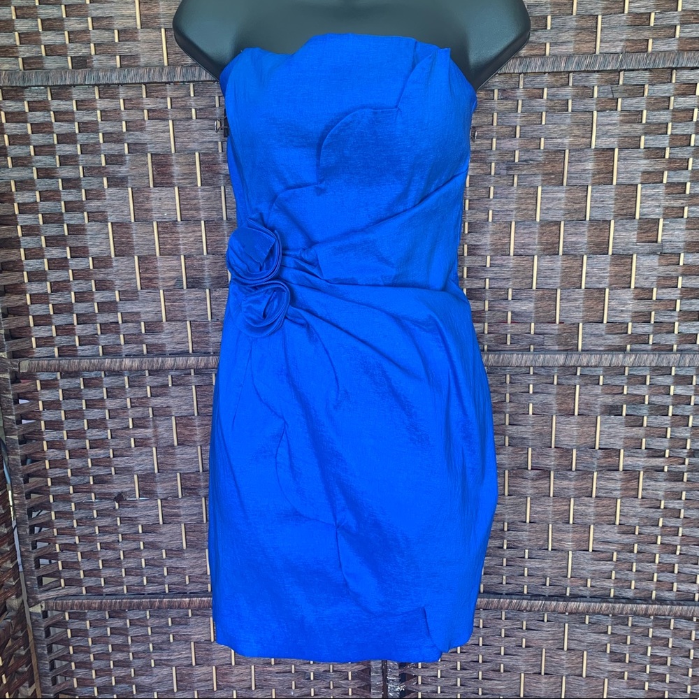 Cachè Blue Dress